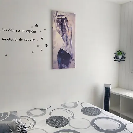 T2 Centre-Ville, Appart Avec Balcon Plein Sud, 1 Chambre, 2 Pers, Climatisation, Wifi, Parking Libre Et Gratuit Апартаменты